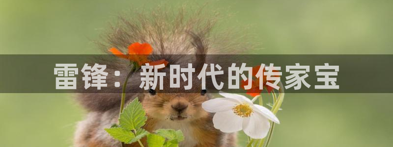 密本南瓜河南：雷锋：新时代的传家宝