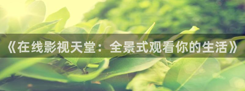 南瓜盐城：《在线影视天堂：全景式观看你的生活》