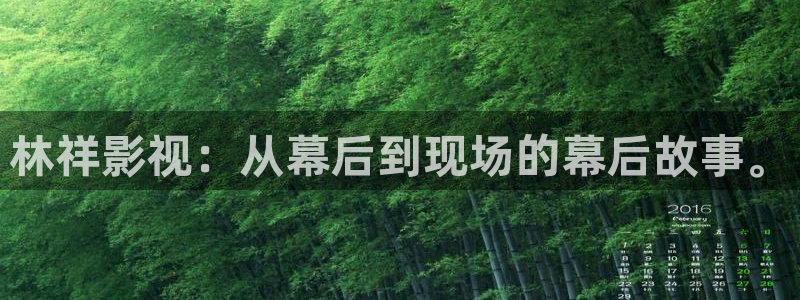南瓜影院在线观看免费高清电视剧：林祥影视：从幕后到现场的幕后故事。