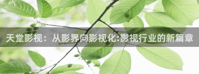南瓜窝：天堂影视：从影界向影视化:影视行业的新篇章