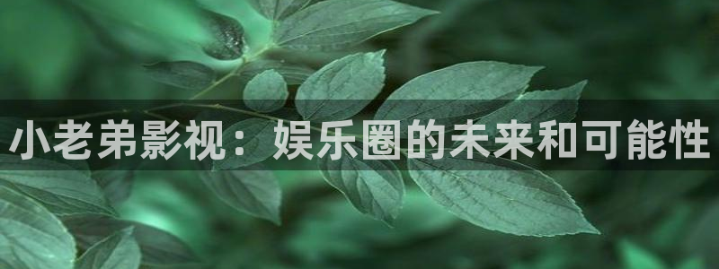 南瓜影院 mp4：小老弟影视：娱乐圈的未来和可能性
