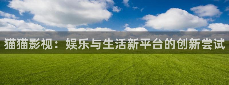 四川密本南瓜：猫猫影视：娱乐与生活新平台的创新尝试