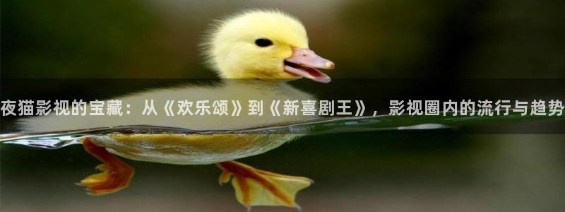 吉林南瓜：夜猫影视的宝藏：从《欢乐颂》到《新喜剧王》，影视圈内的流行与趋势
