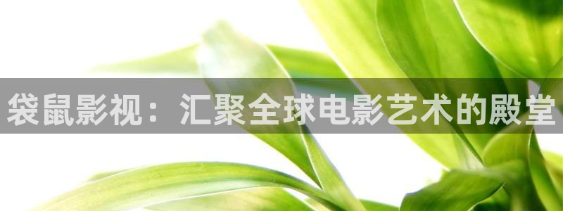 南瓜南阳：袋鼠影视：汇聚全球电影艺术的殿堂