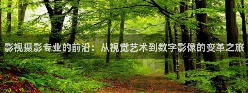 眼影南瓜色：影视摄影专业的前沿：从视觉艺术到数字影像的变革之旅