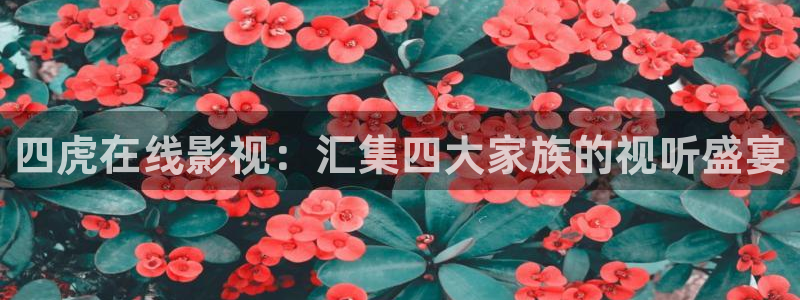 南瓜电影下载：四虎在线影视：汇集四大家族的视听盛宴
